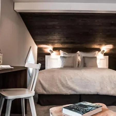 Otel Le Whymper 4*